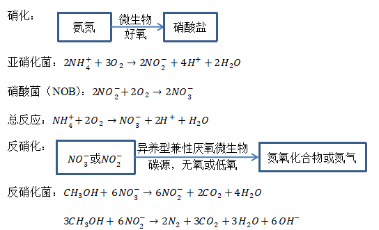 總氮去除