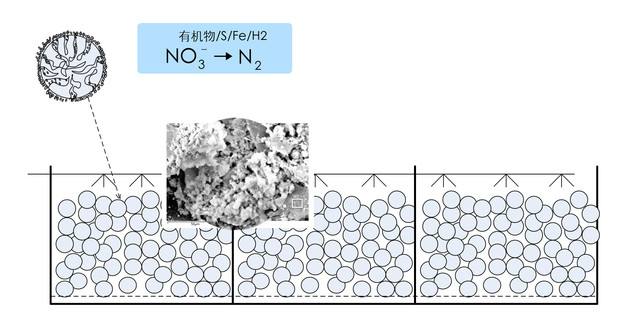 反硝化原理