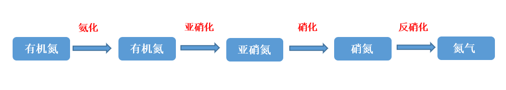 總氮去除方法