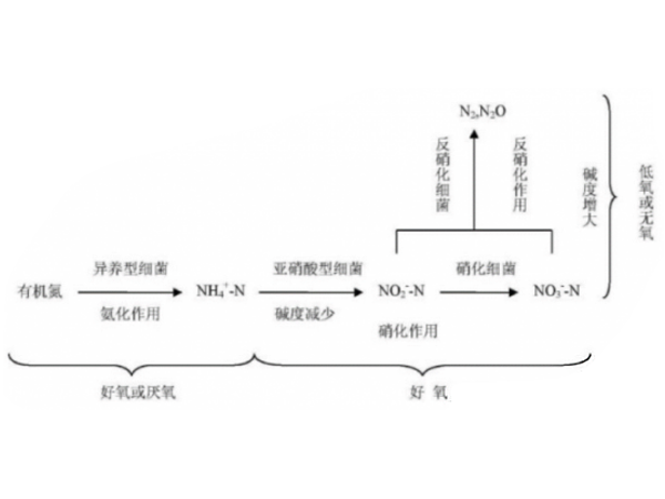 總氮處理