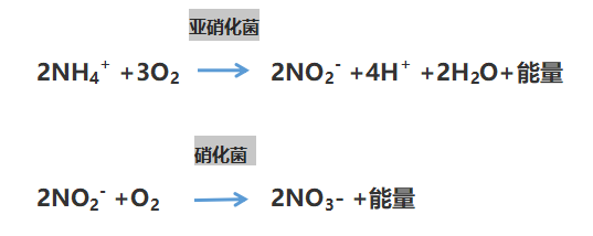 氨氮超標